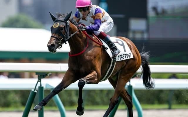 【札幌5R新馬戦結果】ヘニーヒューズ産駒カワキタマナレアが突き抜け快勝