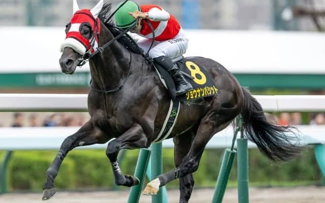 【札幌日経オープン結果】ショウナンバシットが押し切り、約1年5か月ぶりの復活V