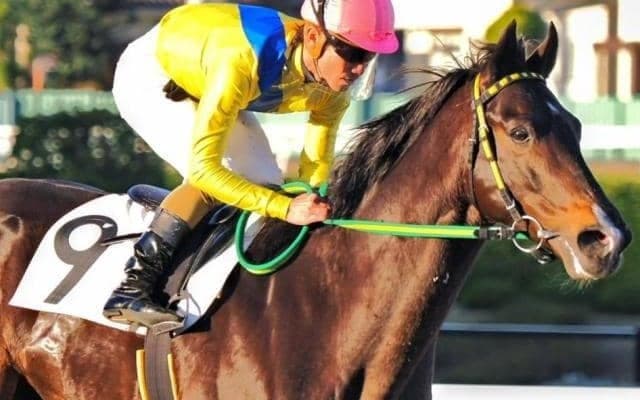 千葉ロッテマリーンズ吉井理人監督の愛馬リジン JRA再転入2連勝狙う