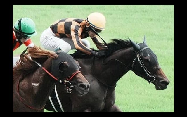 【アイビスSD】国分恭「馬がペース配分してくれた」モズメイメイが重賞3勝目