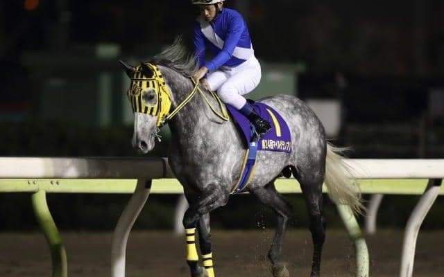 登録は3頭のみ 希少な「レガルスイ産駒」が2日大井で初勝利