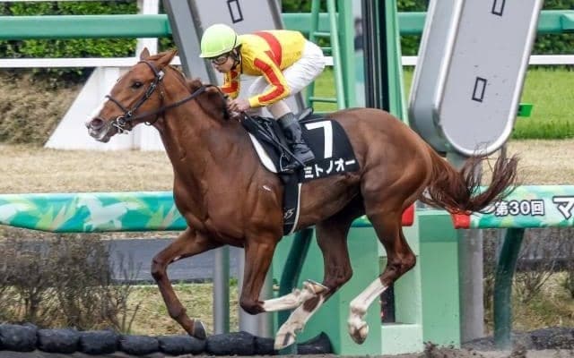 【今日の注目ポイント】札幌でエルムSと新潟でレパードSのダート2重賞