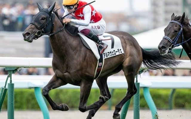 【札幌5R新馬戦結果】ハービンジャー産駒アルマヴェローチェが逃げ切りV