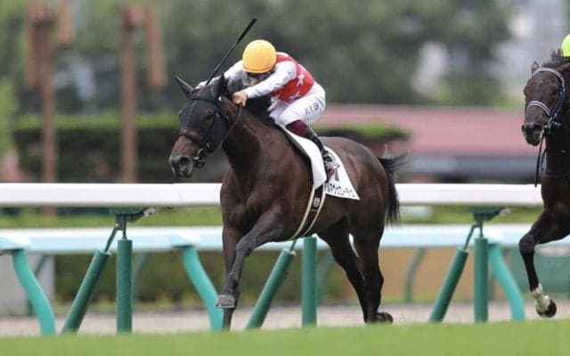 【新馬/札幌5R】ハービンジャー産駒 アルマヴェローチェがデビューV