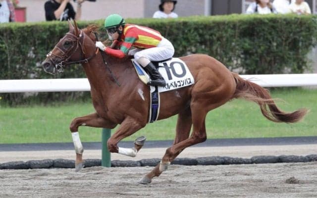 【札幌1R】単勝1.1倍 ベルベルコンパスが5馬身差圧勝