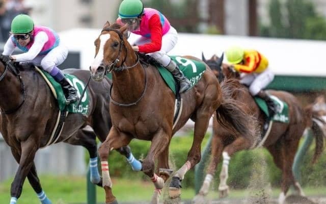 【エルムS結果】ペイシャエスが競り合いを制し重賞3勝目！