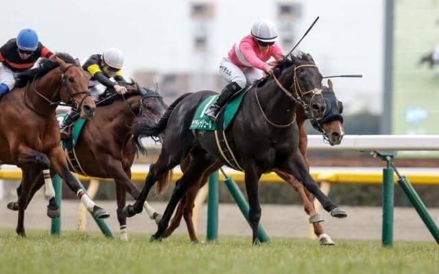 【関屋記念】サクラトゥジュール、トゥードジボンらが登録