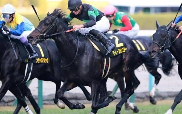 中京競馬が開幕 新潟で関屋記念と中京で小倉記念/今週の競馬界の見どころ
