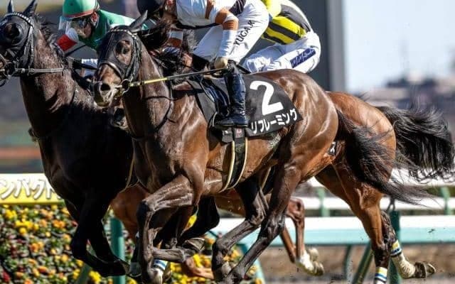 【小倉記念見どころ】リフレーミングの鋭い末脚に期待