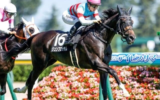 【関屋記念見どころ】昇級戦でもヒケを取らないジュンブロッサムの連勝に期待