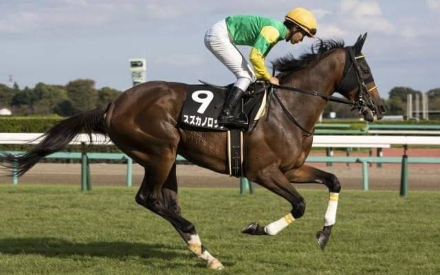【先週のJRA抹消馬】芝中長距離で活躍の古豪スズカノロッソ、ダート短距離で2勝を挙げたオカリナなど