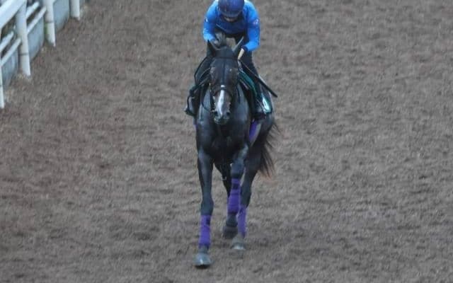 友道康夫調教師も「牝馬らしくない体つき」と高評価 カムニャックが中京で初陣/関西馬メイクデビュー情報