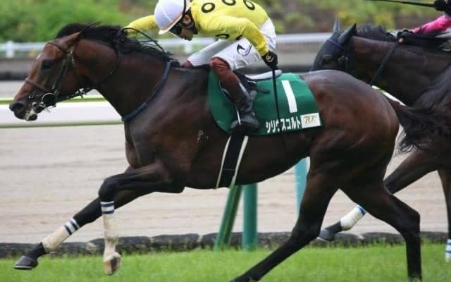 28年ぶり3歳馬Vなるか 前走ラジオNIKKEI賞2着と素質示した期待馬が小倉記念に参戦