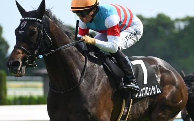 【AI予想・関屋記念】経験豊富な馬が主役になる!? 重賞未勝利も能力は十分通用する本命候補とは