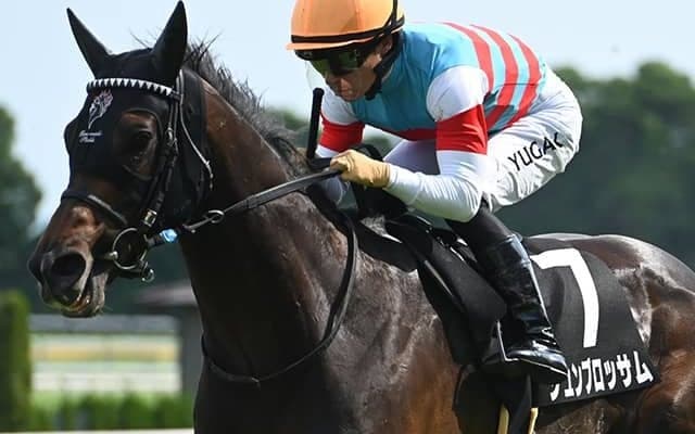 【関屋記念想定騎手】ジュンブロッサムは戸崎圭太騎手、ディスペランツァはM.デムーロ騎手