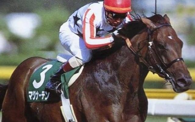 関屋記念連覇のマグナーテンは何位？ セン馬の獲得賞金ランキング