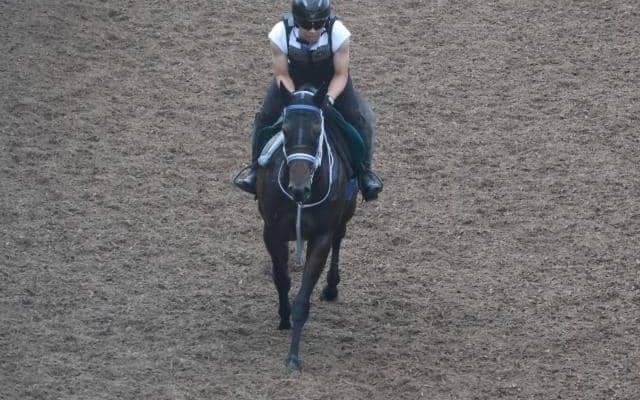 マジカルフェアリーなど、先週の入厩情報/栗東トレセンニュース