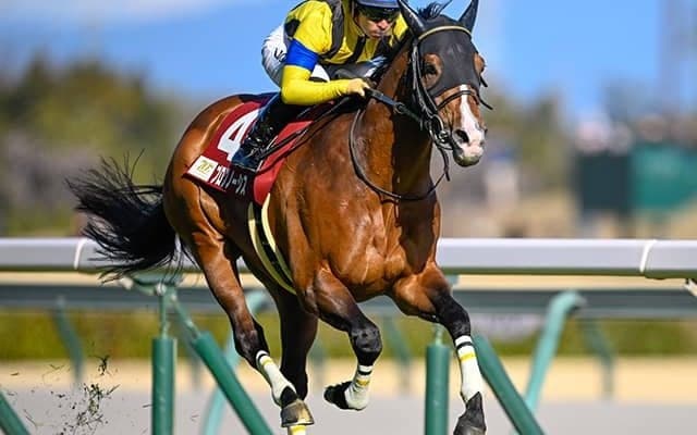 豪G1・コックスプレート＆コーフィールドCの予備登録馬が発表 日本からはプログノーシスなど5頭