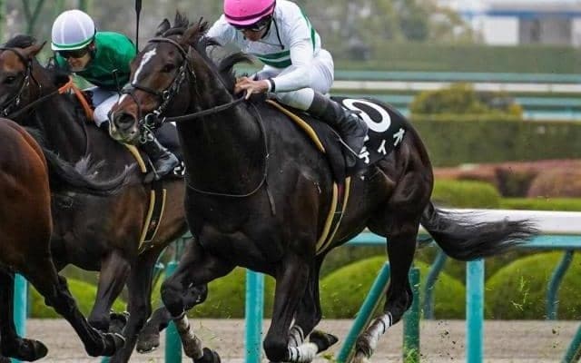 父と兄に続くマイル重賞Vへ 全5勝の“千六巧者”が初タイトル狙う