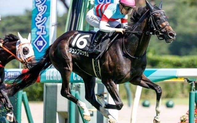 【関屋記念予想オッズ】ジュンブロッサムが予想1番人気