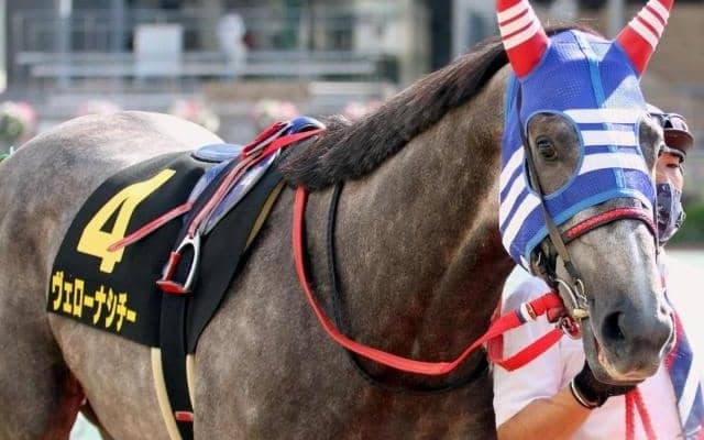 シチー軍団11年ぶりのJRA重賞制覇へ 1年半の休養明けから2戦目の小倉記念で復活Vなるか