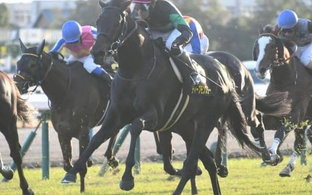 【小倉記念予想オッズ】ディープモンスターが予想1番人気