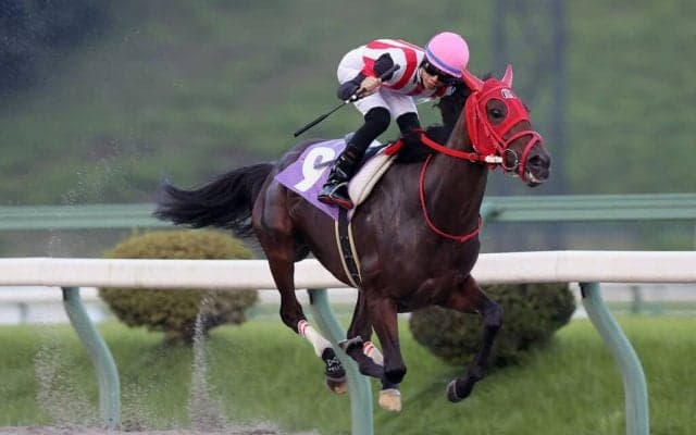 【盛岡・フェアリーカップ】ミニアチュールが7馬身差圧勝…佐々木志音「強さにびっくりした」
