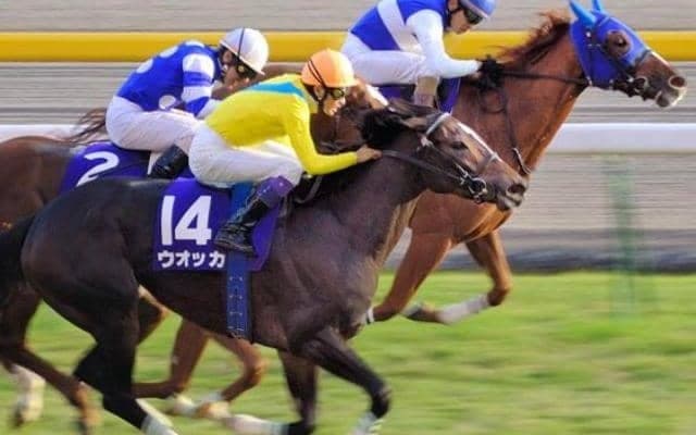 わずか1cmの決着も…「鼻の日」にちなんで ハナ差決着の名勝負を振り返る