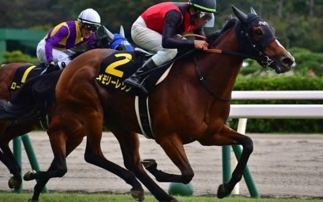 “花の12期生”のひとりが3年ぶりのJRA重賞Vへ 秋華賞4着の実績馬とともに小倉記念に挑む