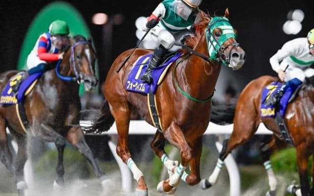 【川崎・スパーキングサマーC結果】フォーヴィスムが強烈な末脚で差し切りV！重賞初制覇