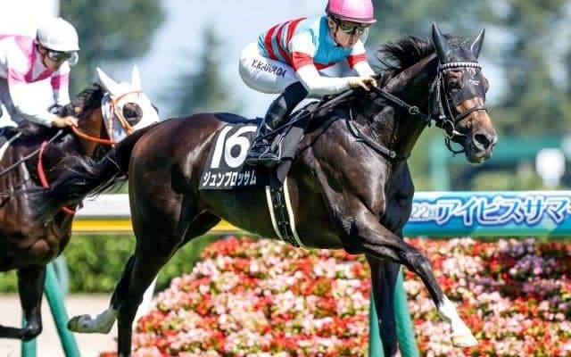 【関屋記念予想】AIは人気的に“おもしろい”一頭をチョイス 真っ先に注目すべきは性齢差と馬体重