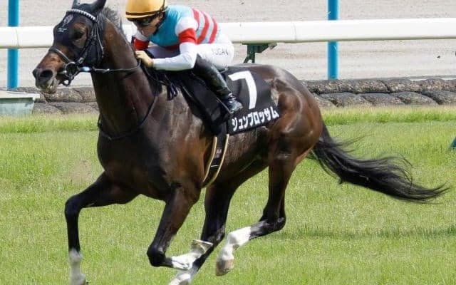勝てば産駒初のJRA重賞V 昨年種牡馬引退ワールドエースの仔が関屋記念に挑む