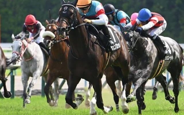 【関屋記念出走馬・騎手確定】ジュンブロッサム＆戸崎圭太騎手、プレサージュリフト＆C.ルメール騎手など18頭