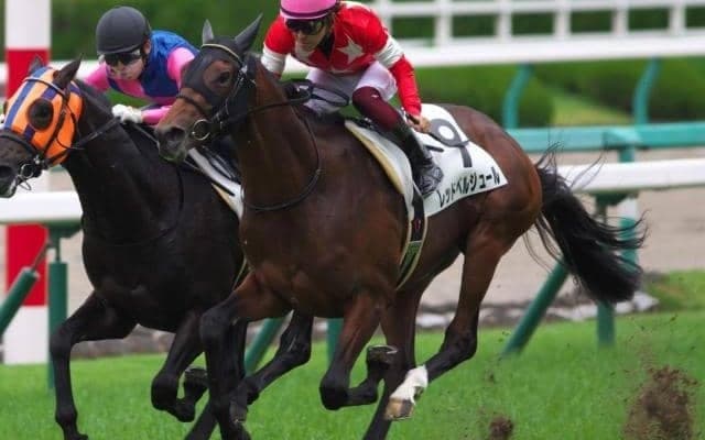 デイリー杯2歳Sを制すも早期引退の父の無念を晴らすか レッドベルジュール産駒がJRA初出走