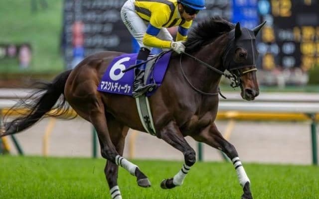重賞2勝マスクトディーヴァの半弟が今週末デビュー 圧巻のパフォーマンスに期待