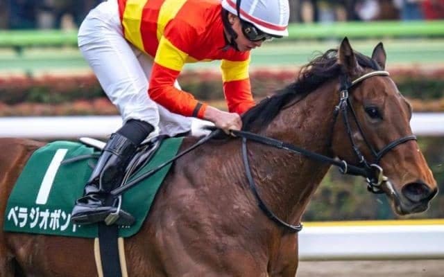  23年の千葉セリ最高額馬 距離短縮で“負けられない一戦”に挑む