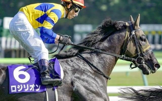 “若手のホープ” が重賞初Vへ GI・3着馬と共に関屋記念に参戦