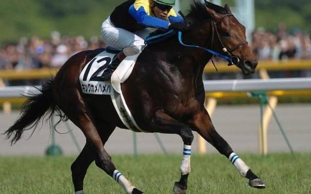 “大王”キングカメハメハ没後5年 輝かしい功績の数々は今なお色あせず