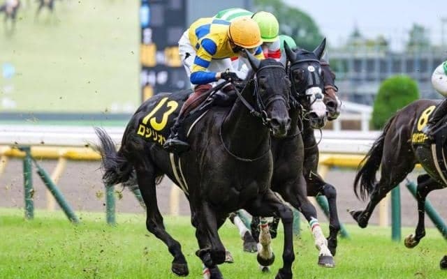 【関屋記念予想】瞬発力より持続力 新潟外回りコースを攻略し夏のマイル王争いで一歩前に出るのは？