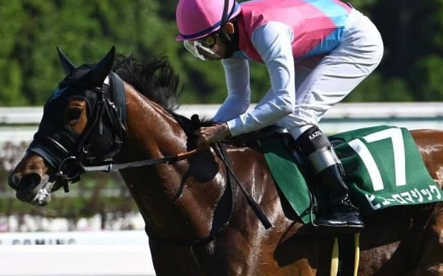 【CBC賞想定馬・騎手】ピューロマジック、サウンドビバーチェなど21頭