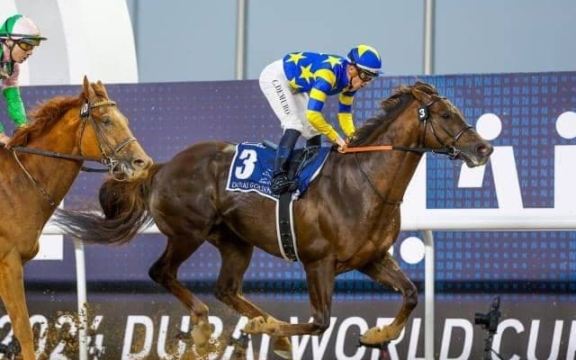 【盛岡・クラスターC枠順】ドバイGS以来の実戦となるドンフランキーは5枠7番