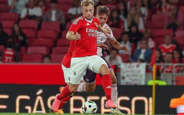 ヴェローナにベンフィカのデンマーク人FW加入…買取OP付きレンタルに