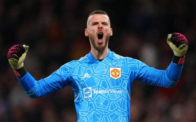 無所属が続いたデ・ヘアの新天地が決定！フィオレンティーナが獲得を正式発表