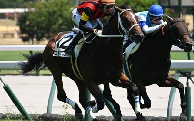 【中京5R新馬戦結果】ディスクリートキャット産駒エイシンワンドが人気に応えてV