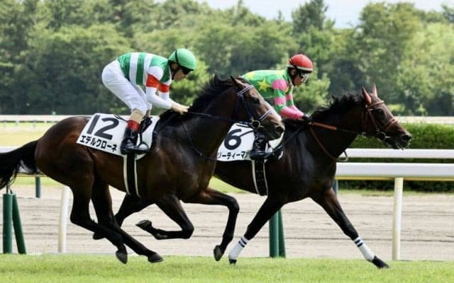 【新馬/新潟5R】モーリス産駒 ジーティーマンが抜け出す