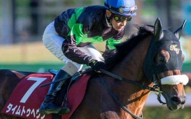 新潟芝はロードカナロア産駒に注目 伏兵タイムトゥヘヴンの末脚に期待