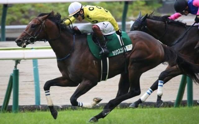 【今日の注目ポイント】中京で小倉記念と新潟で関屋記念の2重賞