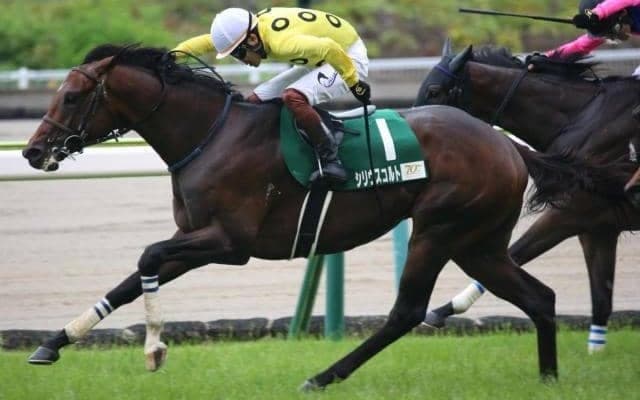 【小倉記念予想】今年は開幕週の中京で実施 求められるコース適性とは