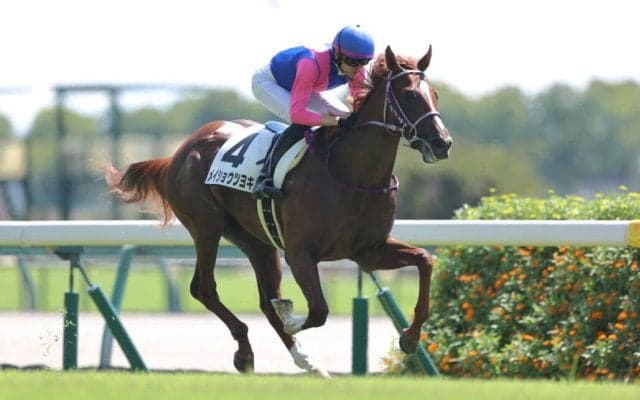 【中京1R】メイショウツヨキが人気に応える…2馬身差で快勝