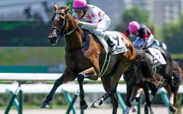 【札幌5R新馬戦結果】イントゥミスチーフ産駒マテンロウサンが4馬身差で快勝